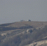 Крупный лесной пожар в Крыму потушен - Crimea-news.com