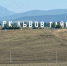 Власти Крыма рассказали о судьбе медведей "Тайгана" - Crimea-news.com