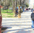 День матери отпразднуют в Детском парке - Крымская правда