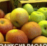 Супер-чернозём в Крыму. Учёные КФУ создали эликсир плодородия - Crimea-news.com