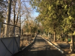 ...и установили бордюры