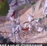 Туристы оставляют плохую память о себе, вредят деревьям - Crimea-news.com