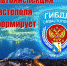 Сводка ДТП на дорогах Севастополя - Crimea-news.com