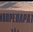 Вакцинация животных Севастополя продолжается - Crimea-news.com