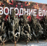 Елочные базары в Феодосии откроются 10 декабря - Crimea-news.com