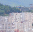 Одна из острых проблем Ялты - содержание и благоустройство придомовых территорий многоквартирных домов - Crimea-news.com