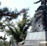 В Крыму могут появиться населенные пункты воинской доблести - Крымская правда