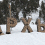 Крым, Куба и Архыз: где россияне проведут новогодние каникулы - Crimea-news.com