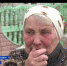 Нападение зверя: в Крыму бойцовская собака растерзала 9-летнего ребенка - Crimea-news.com