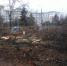 Парковка на ул. Гагарина в Симферополе останется бесплатной в 2020 году - 3652.Ru