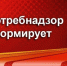 О вреде бестабачных снюсов и паков - Crimea-news.com