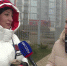 ВЕСТИ-КРЫМ: выпуск 17.01.2020 20:45 - Crimea-news.com