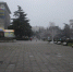 Фото: Отдел информационной политики Администрации города Ялта - Крымская правда