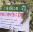 В Симферополе подвели итоги постновогодней акции «Ёлковорот» - Crimea-news.com