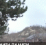 Какие объекты в Крыму отремонтируют в честь Великой Победы? - Crimea-news.com