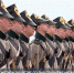 В Севастополе отметили 200-летие со дня открытия Антарктиды - Crimea-news.com