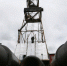 Недра на откуп: зачем Зеленский предложил американцам добывать газ и нефть на Украине - Crimea-news.com