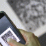 Считывание QR-кода при помощи смартфона. Фото: GLOBAL LOOK PRESS - Комсомольская правда