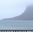 Набережная в Коктебеле должна стать одной из лучших в России - Crimea-news.com