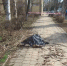 Место трагического происшествия в Керчи - Крымский ТелеграфЪ