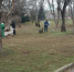 Возле симферопольского кинотеатра "Космос" собрали более 5 тонн мусора, - ФОТО - 3652.Ru