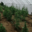 http://img.c-inform.info/3/5/(212)_02.jpg - КрымИнформ