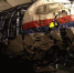 Процесс по делу MH17 может затянуться на годы - Первый Крымский