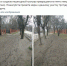 В Симферополе почистили тротуар возле остановки КФУ, - ФОТО - 3652.Ru