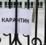 В России хотят давать больничный родителям сидящих на карантине школьников - Первый Крымский