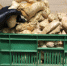 Как меняются цены на продукты в Крыму ? - Крым.Net
