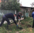 1 - Crimea-news.com
