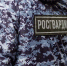 Крымский росгвардеец отправится в тюрьму за ограбление - Первый Крымский