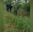 Семью потерявшейся 6-летней девочки в Крыму проверяет прокуратура - Crimea-news.com