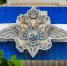 Феодосиец устроил плантацию конопли в своем дворе - Crimea-news.com
