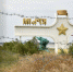 Украинец пытался попасть в Крым в обход пунктов пропуска - Crimea-news.com