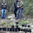 Полиция ликвидировала в Кировском районе спрятанную с лесу наркоплантацию - Crimea-news.com