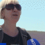 На лавандовом поле в Тургеневке начался сбор урожая - Crimea-news.com