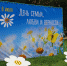 Сюрпризы для симферопольцев в День семьи, любви и верности - Администрация города Симферополя