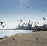 Как в Феодосии потратят 116 млн на развитие городской среды - Crimea-news.com
