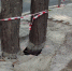 Фото: Отдел информационной политики администрации города Ялта. - Крымская правда