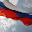 Флаг России - цвета, история возникновения, что обозначает - Росгвардия