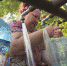 ВЕСТИ-КРЫМ: выпуск 26.08.2020 09:00 - Crimea-news.com