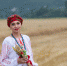 В Крыму пройдет фестиваль украинской культуры «Обжинки» - Crimea-news.com