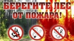 Берегите лес!