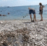На пляже в Коктебеле ручей с нечистотами замаскировали галькой - Crimea.Sm.News
