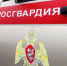 В Крыму сотрудники вневедомственной охраны задержали вора - Росгвардия