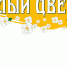 19 сентября в Екатерининском саду пройдет акция «День благотворительности и милосердия «Белый цветок» - Crimea-news.com