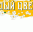 Ежегодная благотворительная акция "Белый цветок" - Администрация города Симферополя