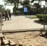 В Ялте реконструируют сквер Калинина - Crimea-news.com