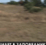 На плато Ай-Петри обустраивают палаточный городок - Crimea-news.com